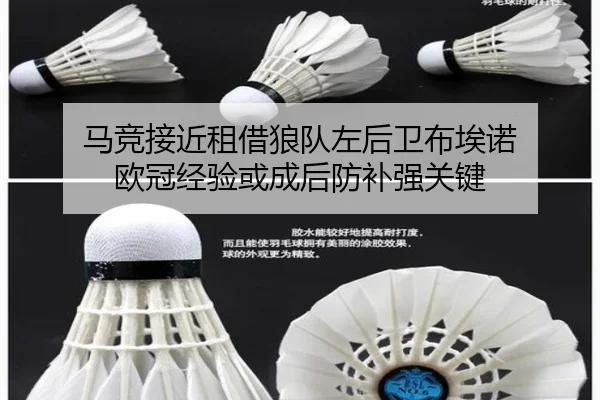 img_1788702981044_346_0_948.jpg（BANDAO）